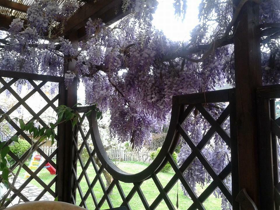 Il Ghiro B&B Riccò del Golfo di Spezia Buitenkant foto