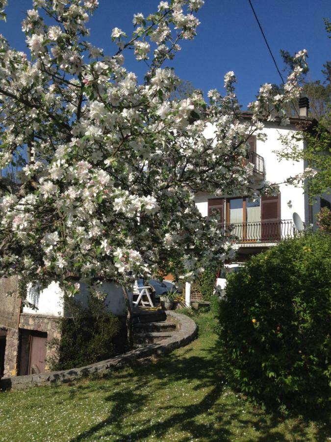 Il Ghiro B&B Riccò del Golfo di Spezia Buitenkant foto