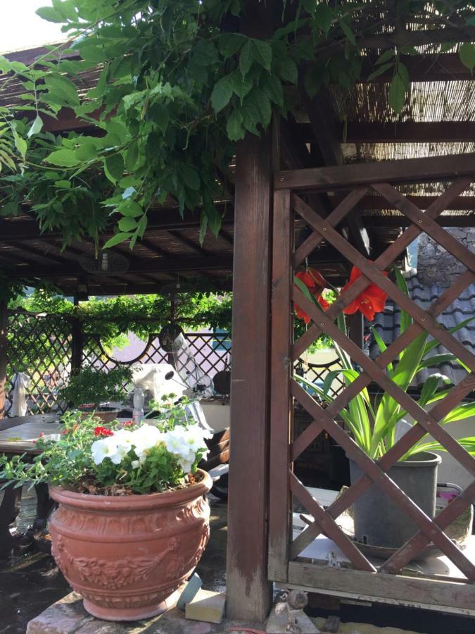 Il Ghiro B&B Riccò del Golfo di Spezia Buitenkant foto
