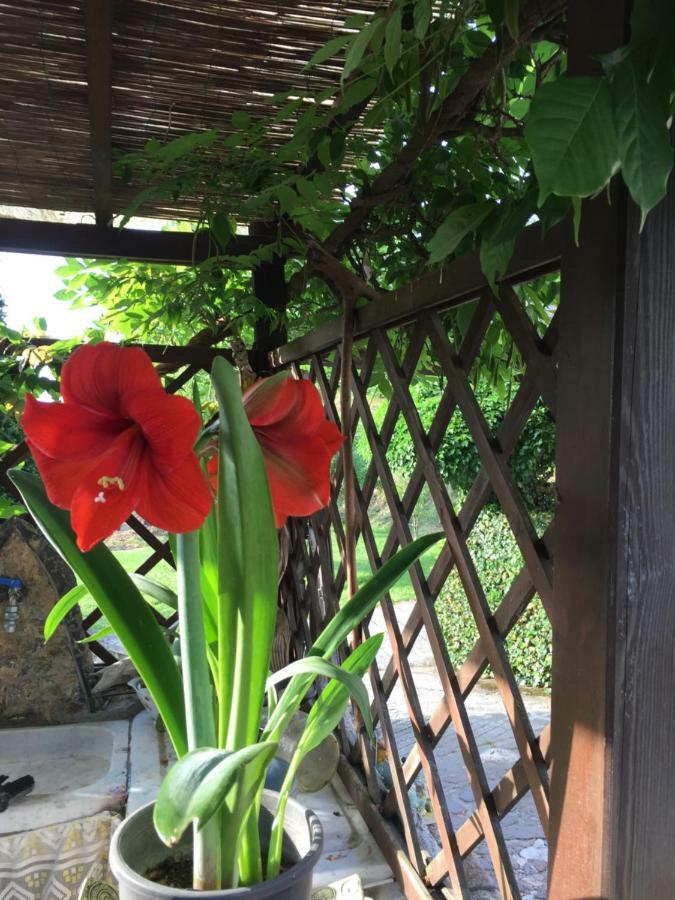 Il Ghiro B&B Riccò del Golfo di Spezia Buitenkant foto